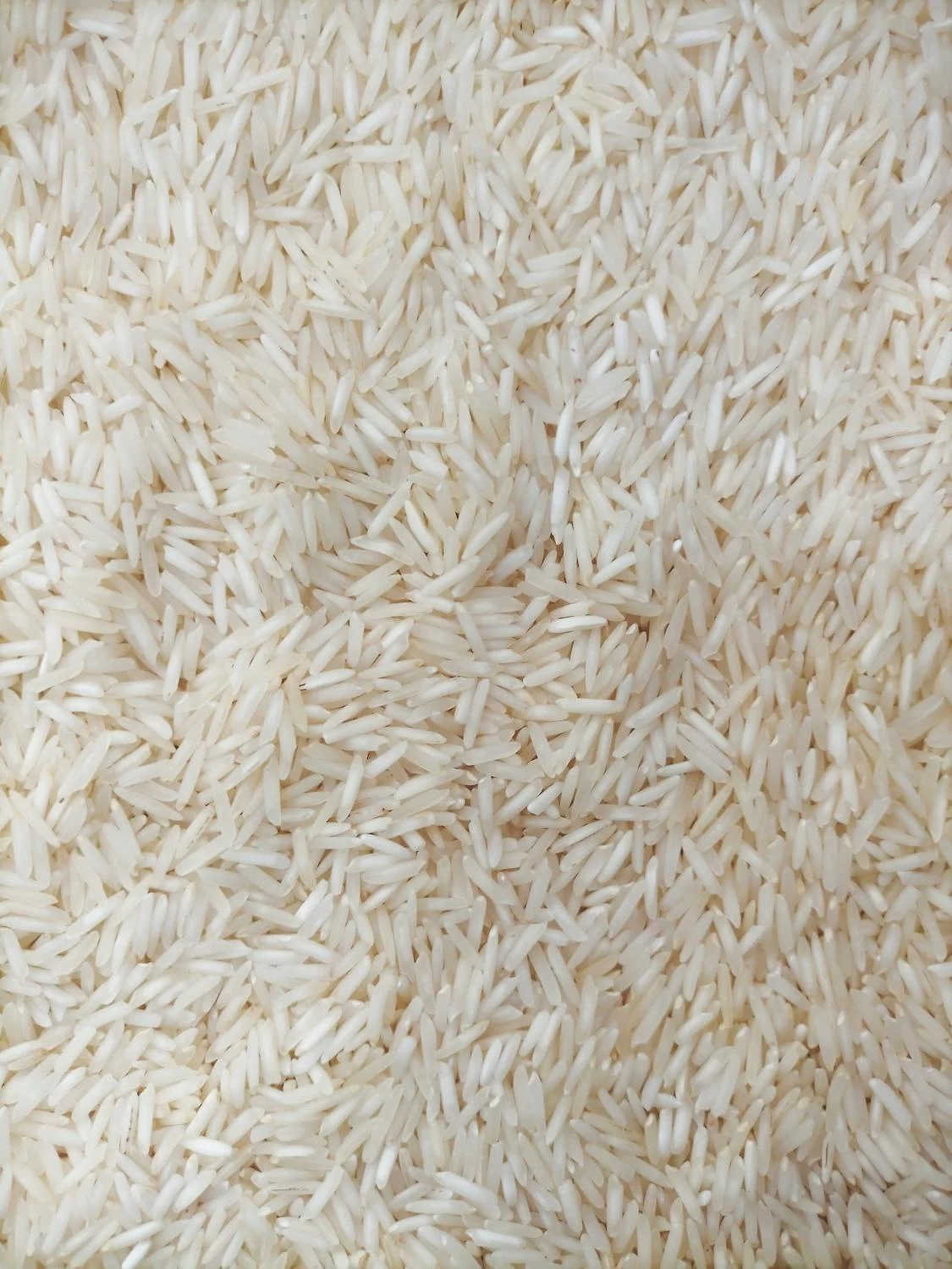 Jaggery Image